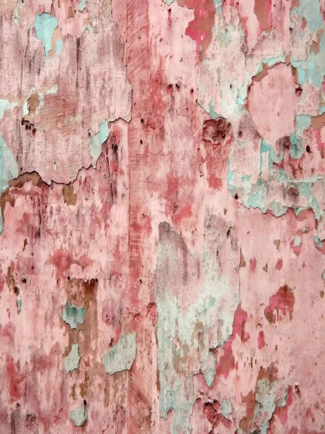 Ramona 8X10 Fleece ( 96 X 120 Inch ) Backdrop