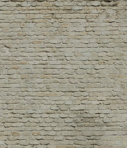 Rampart 10X12 Ultracloth ( 120 X 144 Inch ) Backdrop