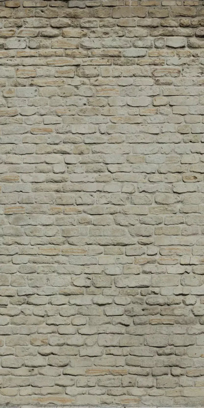 Rampart 10X20 Ultracloth ( 120 X 240 Inch ) Backdrop