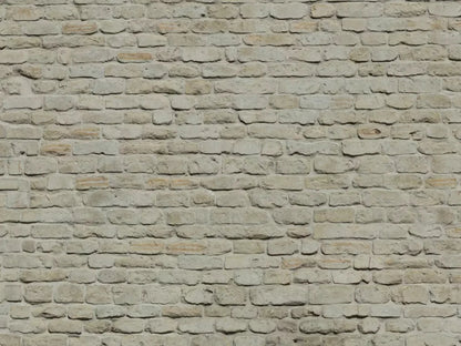 Rampart 10X8 Fleece ( 120 X 96 Inch ) Backdrop