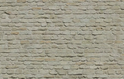 Rampart 12X8 Ultracloth ( 144 X 96 Inch ) Backdrop