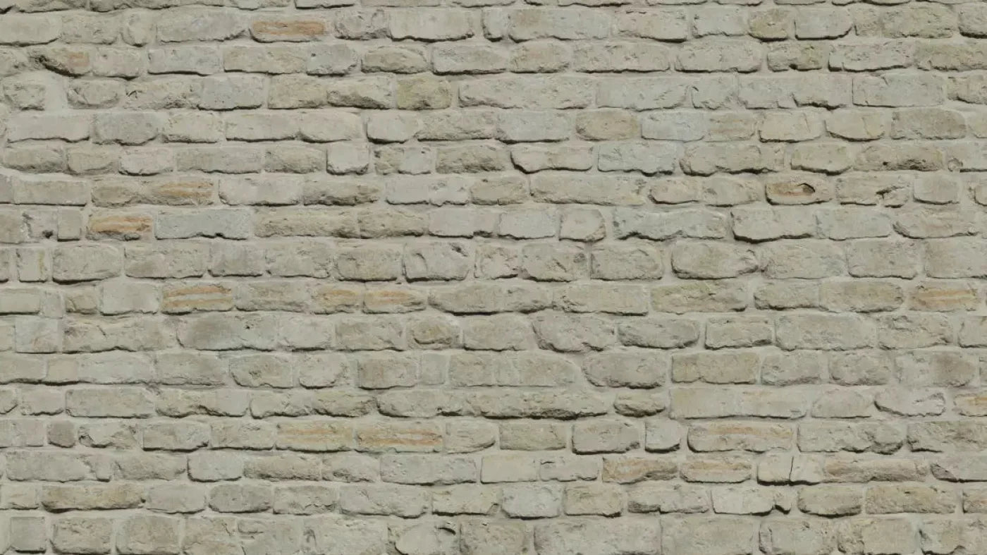 Rampart 14X8 Ultracloth ( 168 X 96 Inch ) Backdrop