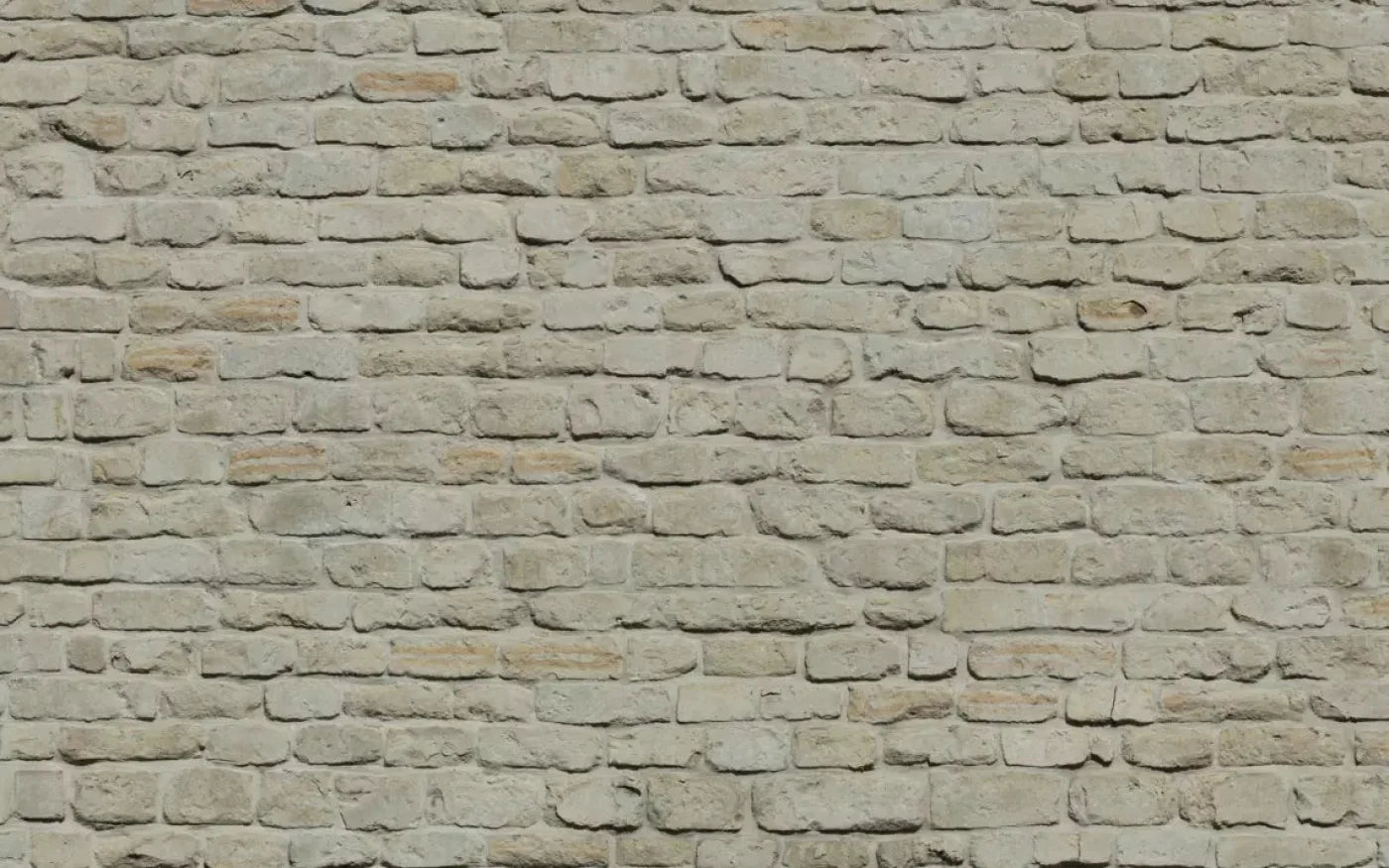 Rampart 14X9 Ultracloth ( 168 X 108 Inch ) Backdrop