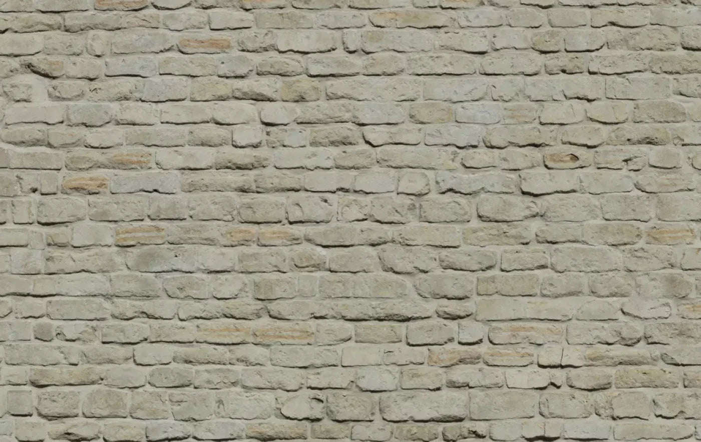 Rampart 16X10 Ultracloth ( 192 X 120 Inch ) Backdrop