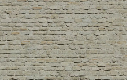 Rampart 16X10 Ultracloth ( 192 X 120 Inch ) Backdrop