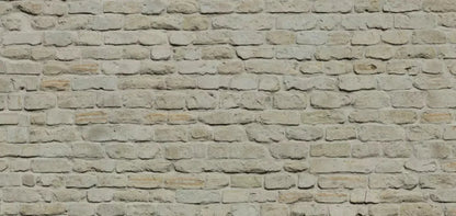 Rampart 16X8 Ultracloth ( 192 X 96 Inch ) Backdrop