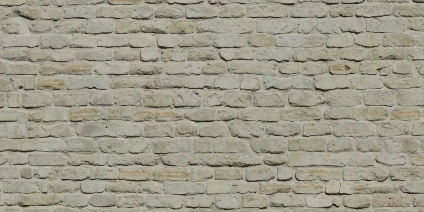 Rampart 20X10 Ultracloth ( 240 X 120 Inch ) Backdrop