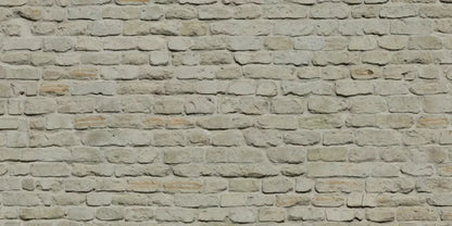 Rampart 20X10 Ultracloth ( 240 X 120 Inch ) Backdrop