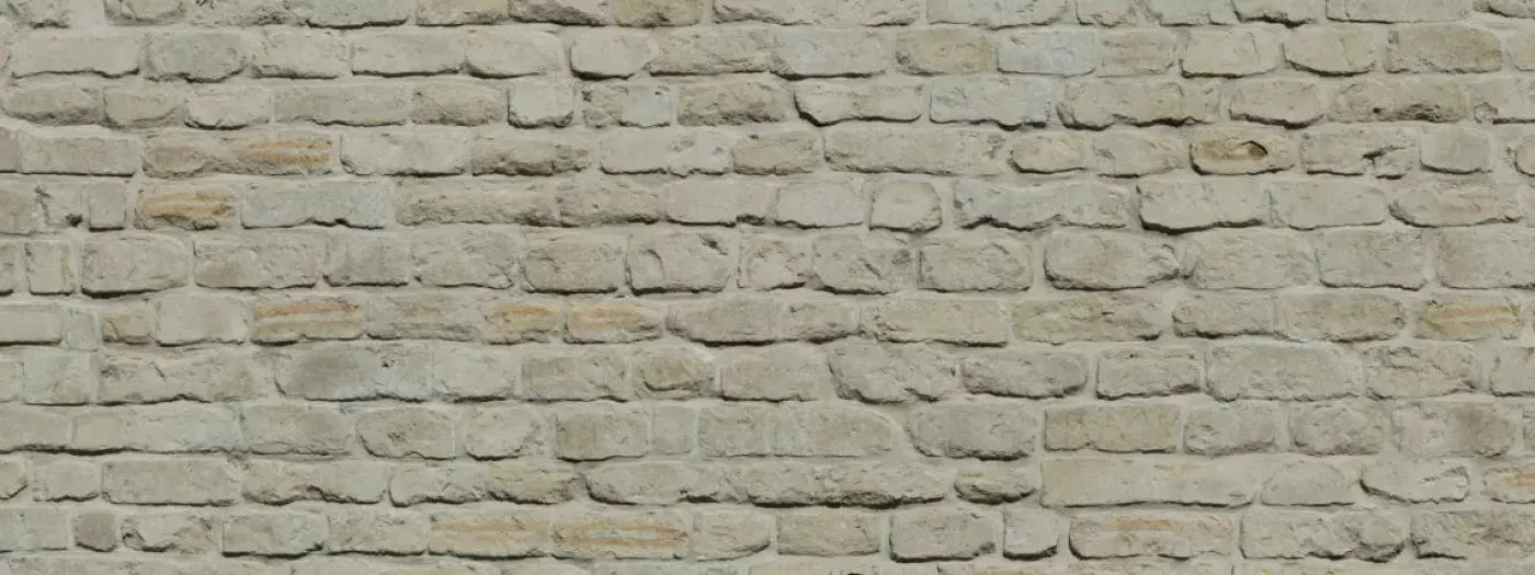 Rampart 20X8 Ultracloth ( 240 X 96 Inch ) Backdrop