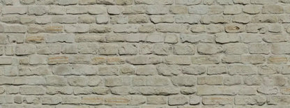 Rampart 20X8 Ultracloth ( 240 X 96 Inch ) Backdrop