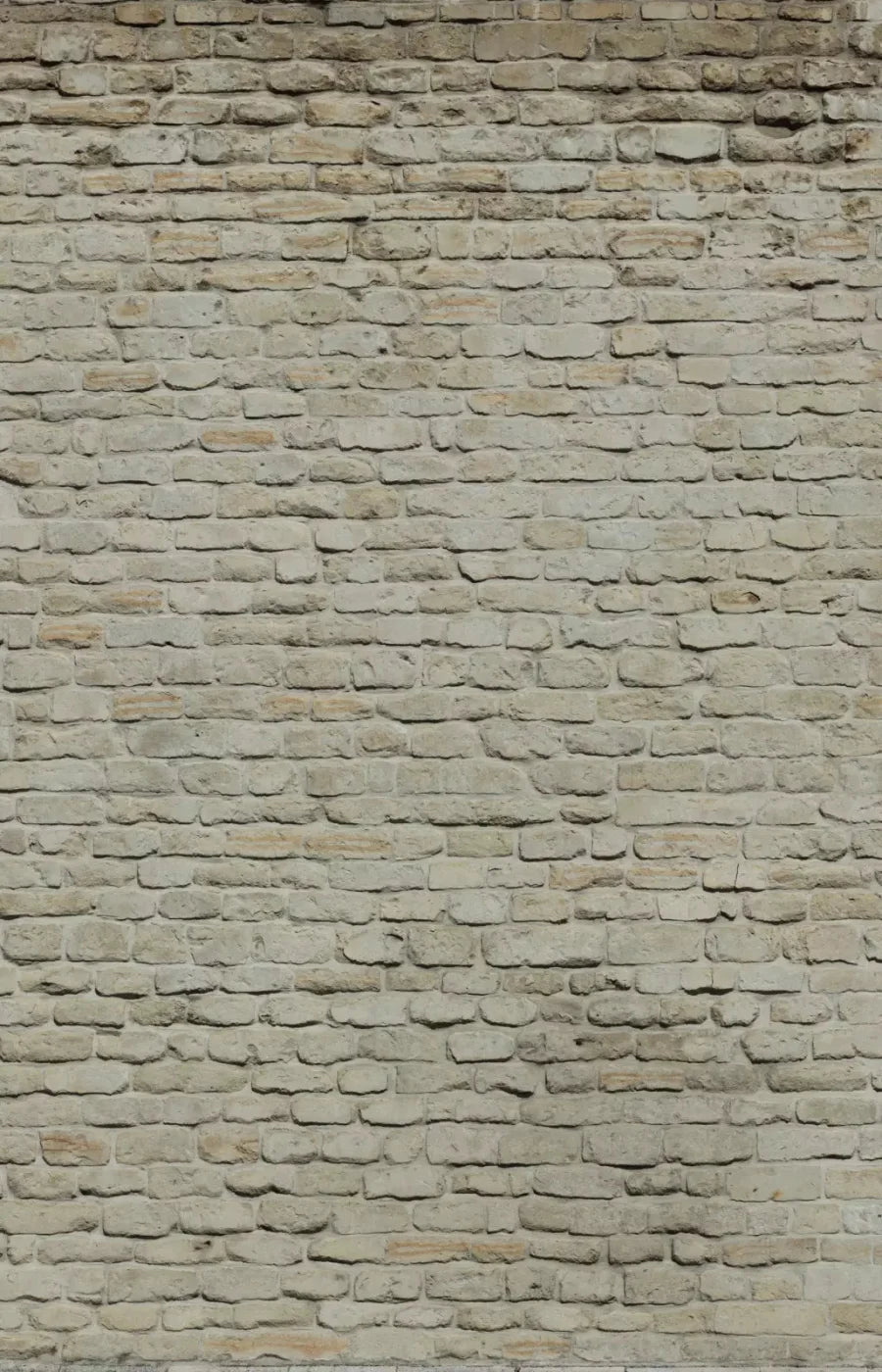 Rampart 8X12 Ultracloth ( 96 X 144 Inch ) Backdrop