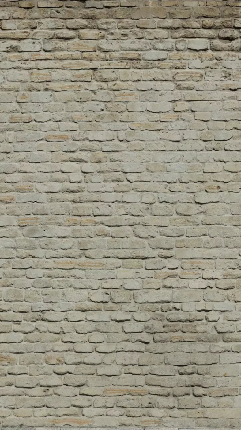 Rampart 8X14 Ultracloth ( 96 X 168 Inch ) Backdrop