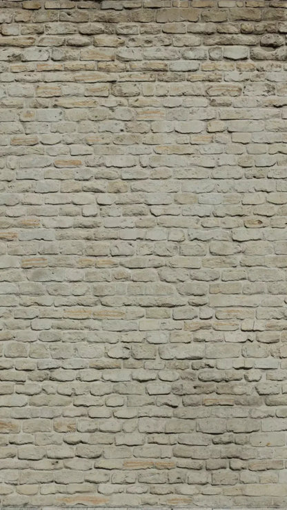 Rampart 8X14 Ultracloth ( 96 X 168 Inch ) Backdrop