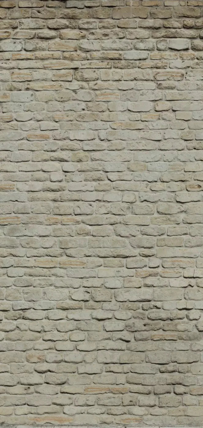 Rampart 8X16 Ultracloth ( 96 X 192 Inch ) Backdrop