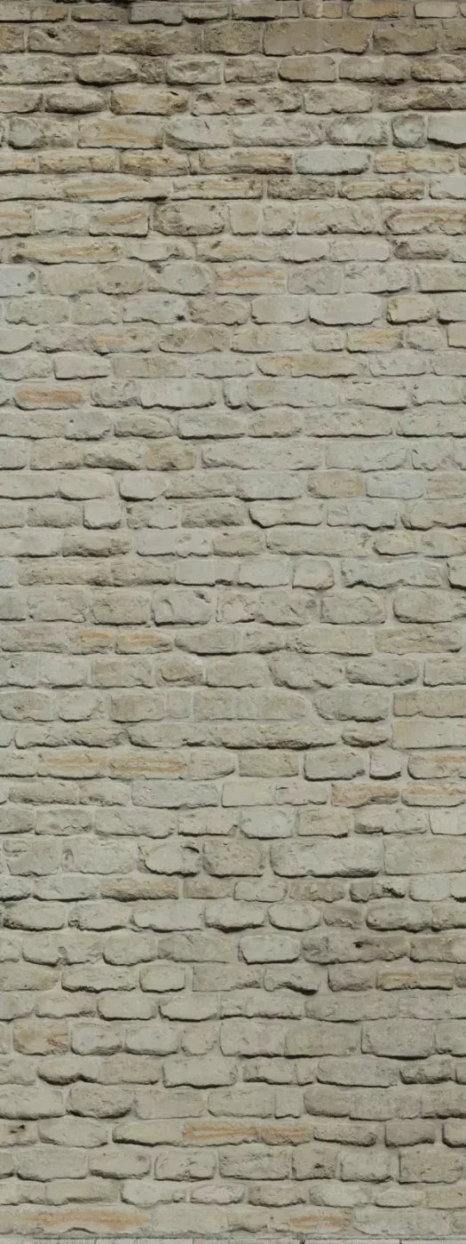 Rampart 8X20 Ultracloth ( 96 X 240 Inch ) Backdrop