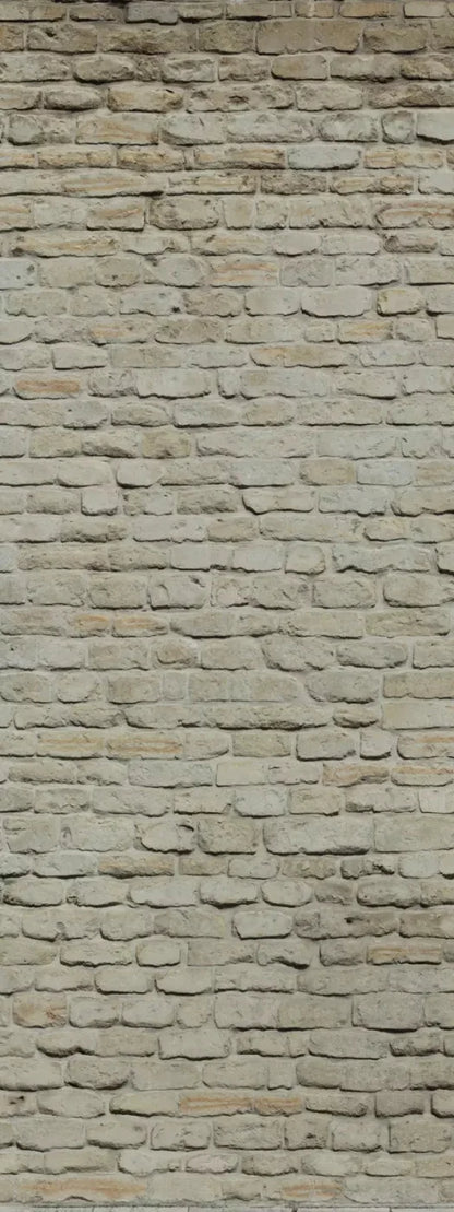 Rampart 8X20 Ultracloth ( 96 X 240 Inch ) Backdrop