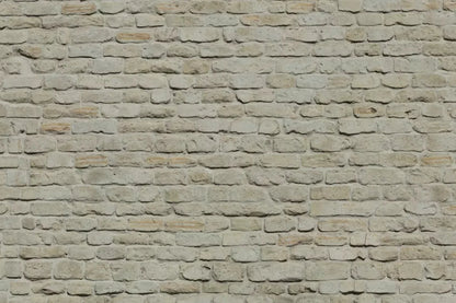 Rampart 8X5 Ultracloth ( 96 X 60 Inch ) Backdrop