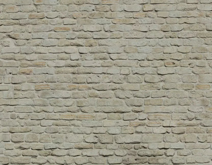 Rampart 8X6 Fleece ( 96 X 72 Inch ) Backdrop