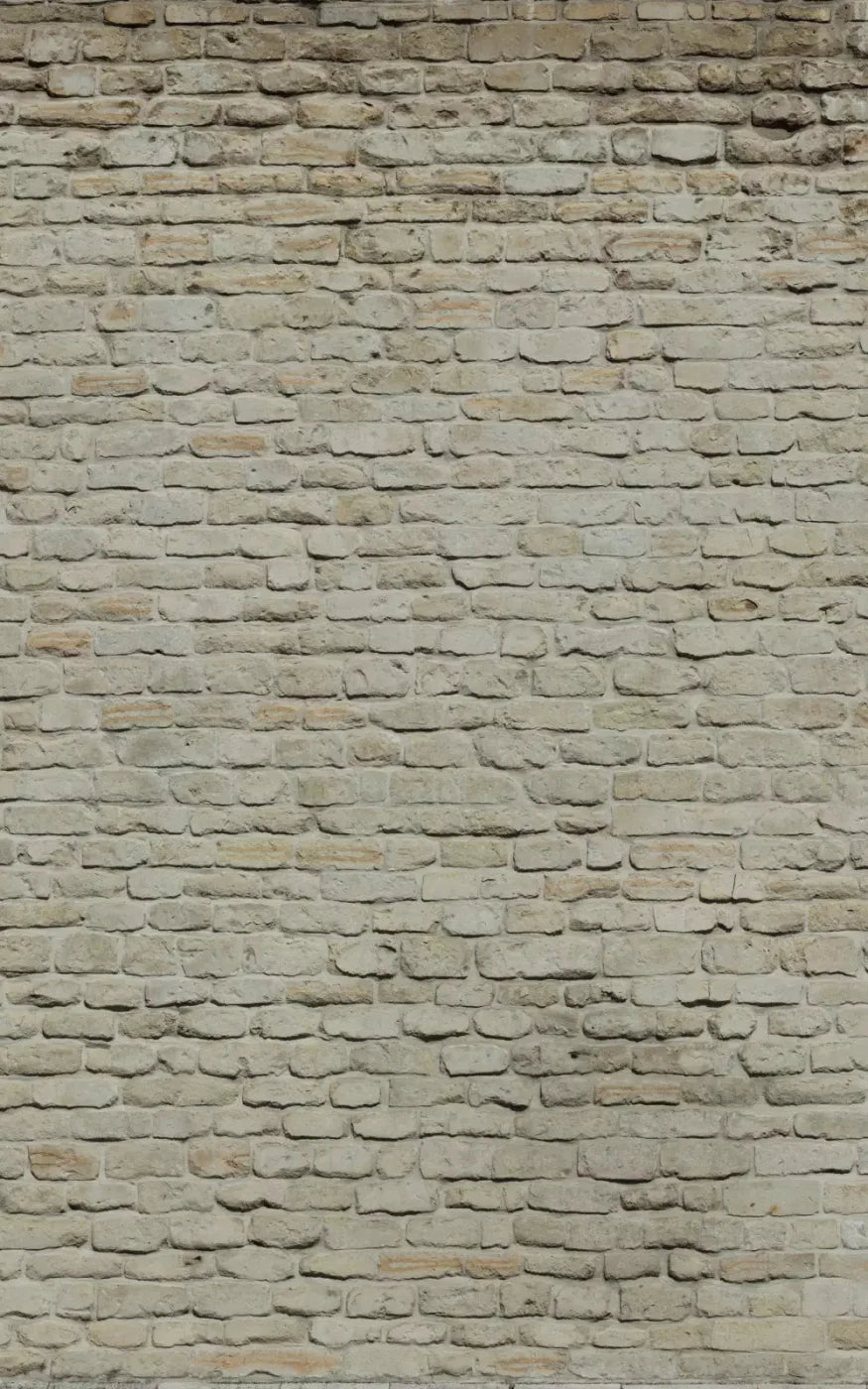 Rampart 9X14 Ultracloth ( 108 X 168 Inch ) Backdrop