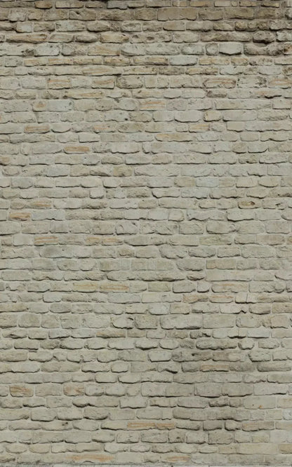 Rampart 9X14 Ultracloth ( 108 X 168 Inch ) Backdrop