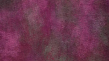 Rasp 14X8 Ultracloth ( 168 X 96 Inch ) Backdrop