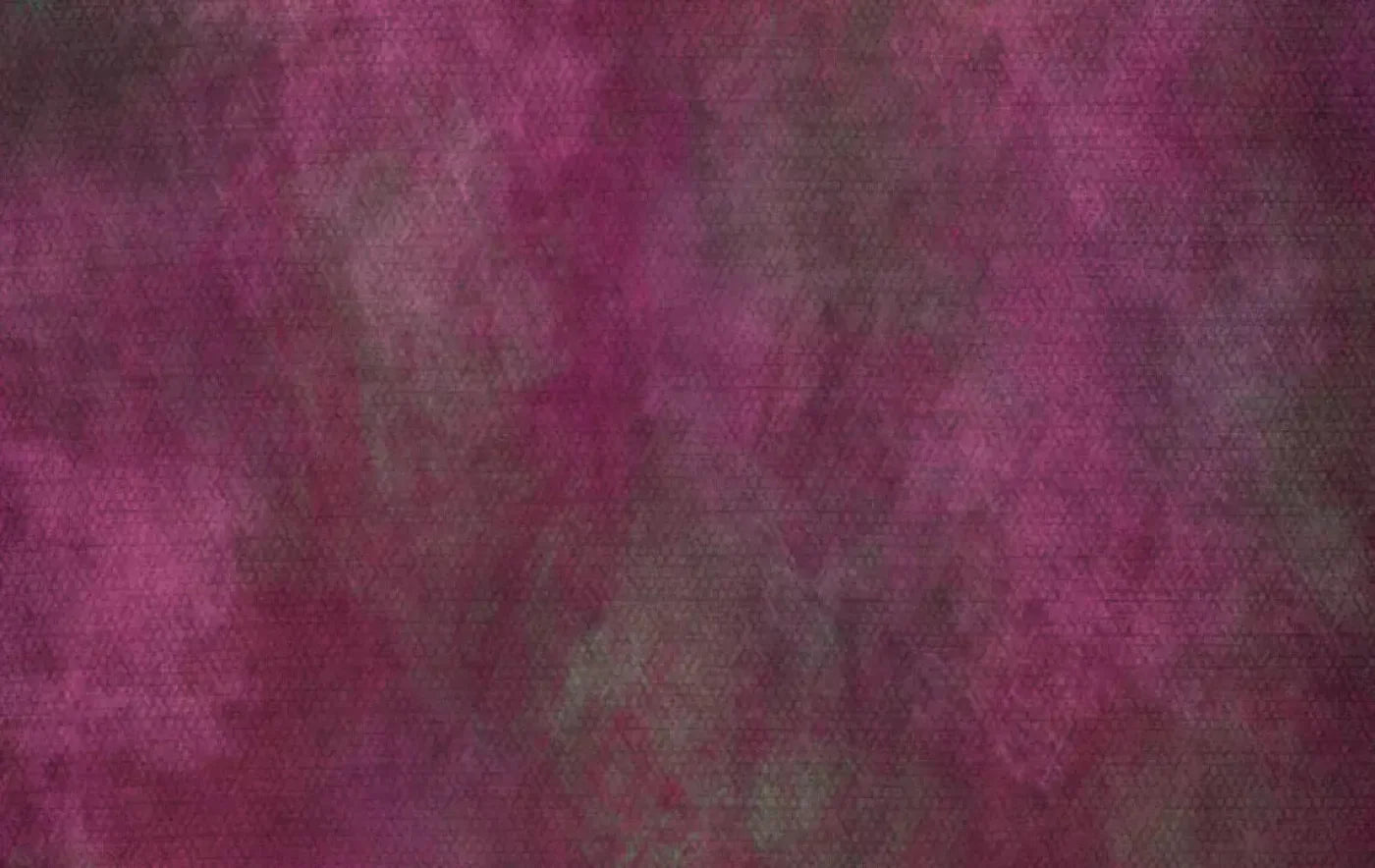 Rasp 16X10 Ultracloth ( 192 X 120 Inch ) Backdrop