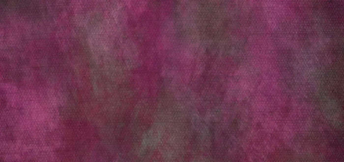 Rasp 16X8 Ultracloth ( 192 X 96 Inch ) Backdrop