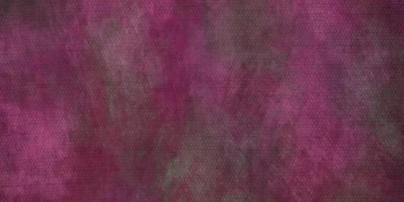 Rasp 20X10 Ultracloth ( 240 X 120 Inch ) Backdrop