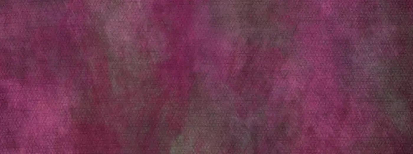 Rasp 20X8 Ultracloth ( 240 X 96 Inch ) Backdrop