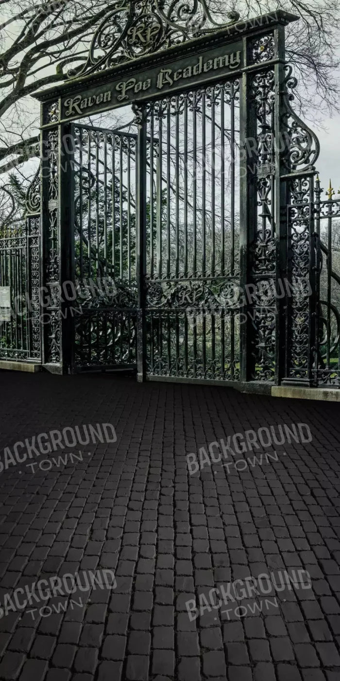 Raven Poe Academy Gate 10X20 Ultracloth ( 120 X 240 Inch ) Backdrop