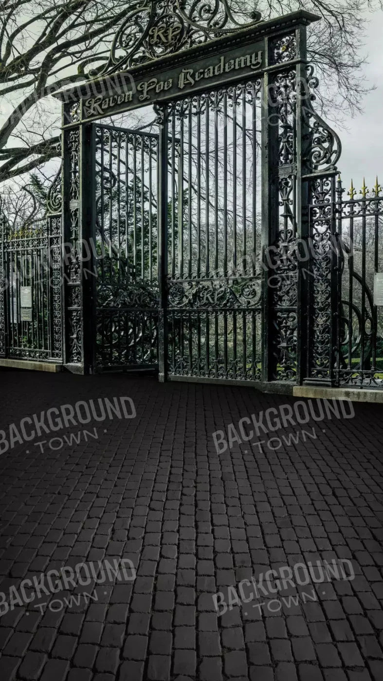 Raven Poe Academy Gate 8X14 Ultracloth For Westcott X-Drop Pro ( 96 X 168 Inch ) Backdrop