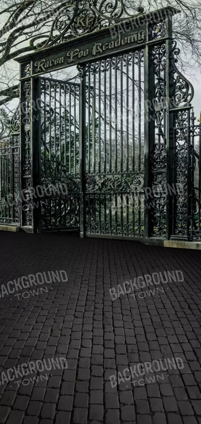 Raven Poe Academy Gate 8X16 Ultracloth ( 96 X 192 Inch ) Backdrop