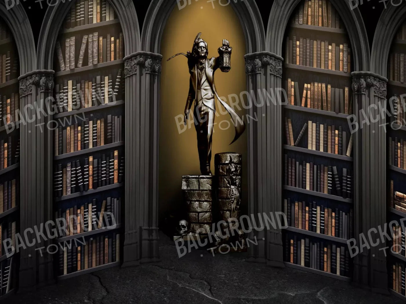 Raven Poe Academy Library 10X8 Fleece ( 120 X 96 Inch ) Backdrop