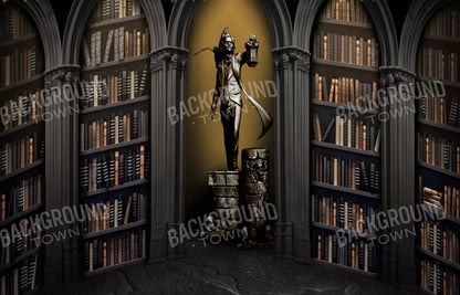 Raven Poe Academy Library 12X8 Ultracloth ( 144 X 96 Inch ) Backdrop