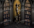 Library Backdrop for Photography