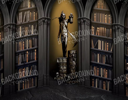 Raven Poe Academy Library 8X6 Fleece ( 96 X 72 Inch ) Backdrop