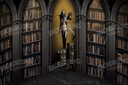 Raven Poe Academy Library 8X5 Ultracloth ( 96 X 60 Inch ) Backdrop