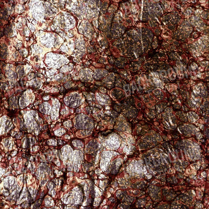 Recant 10X10 Ultracloth ( 120 X Inch ) Backdrop