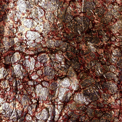 Recant 10X10 Ultracloth ( 120 X Inch ) Backdrop