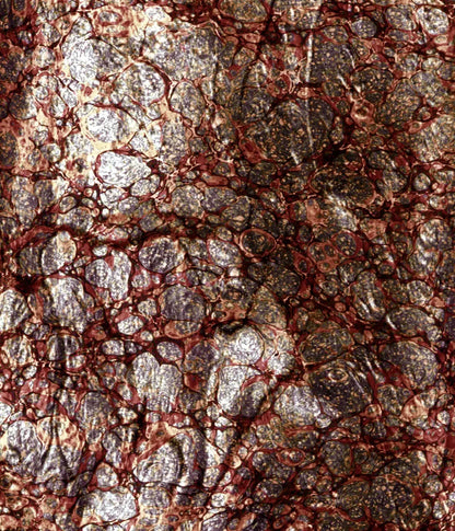 Recant 10X12 Ultracloth ( 120 X 144 Inch ) Backdrop