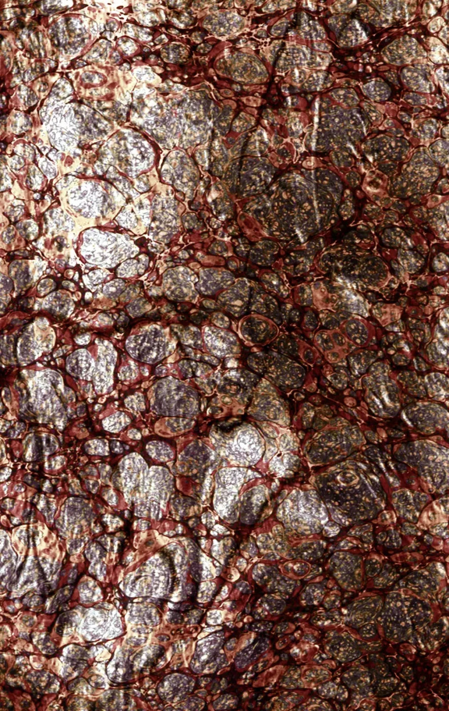 Recant 10X16 Ultracloth ( 120 X 192 Inch ) Backdrop