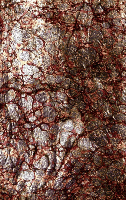 Recant 10X16 Ultracloth ( 120 X 192 Inch ) Backdrop