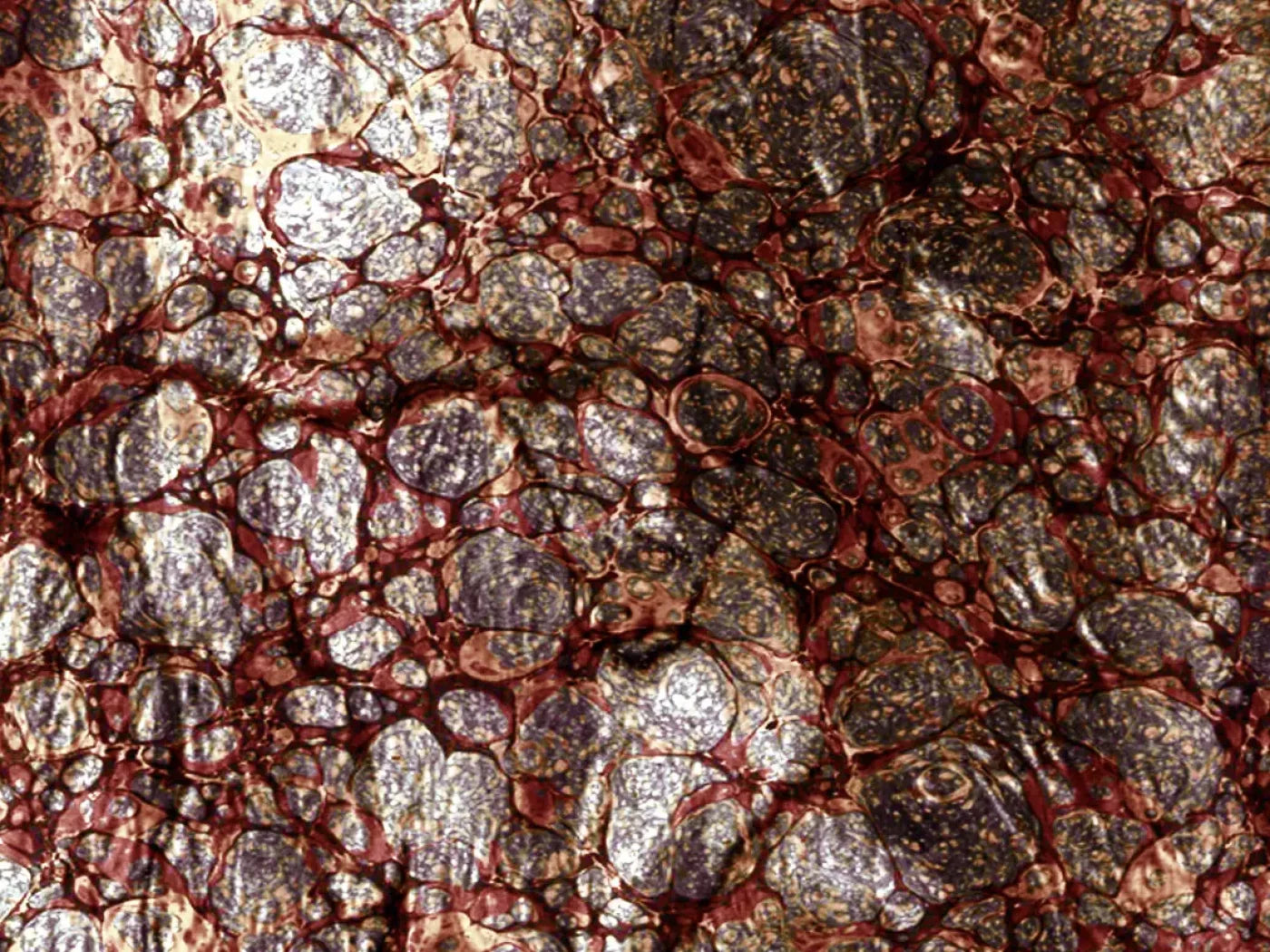 Recant 10X8 Fleece ( 120 X 96 Inch ) Backdrop