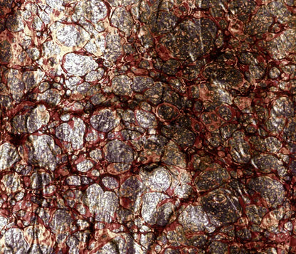 Recant 12X10 Ultracloth ( 144 X 120 Inch ) Backdrop
