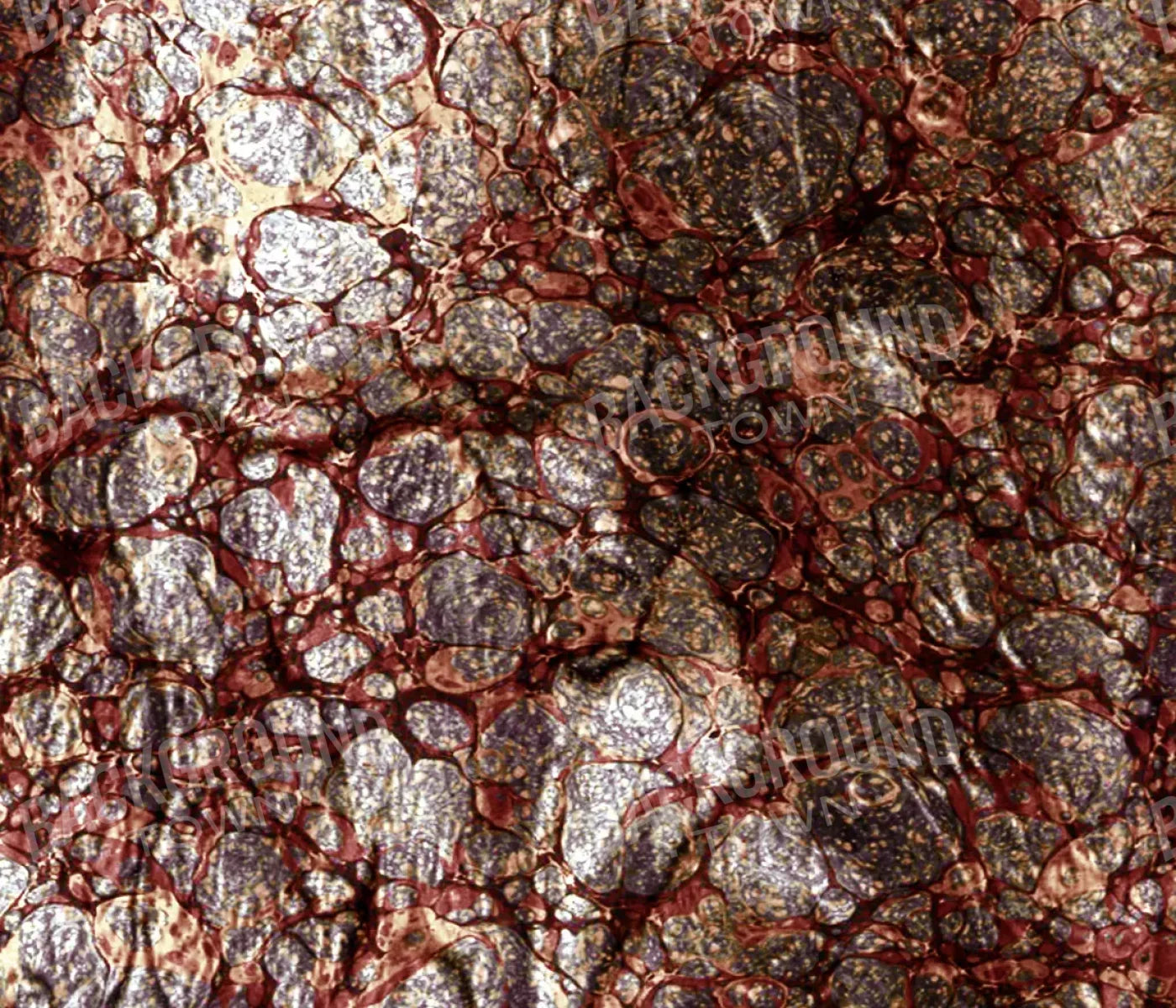 Recant 12X10 Ultracloth ( 144 X 120 Inch ) Backdrop