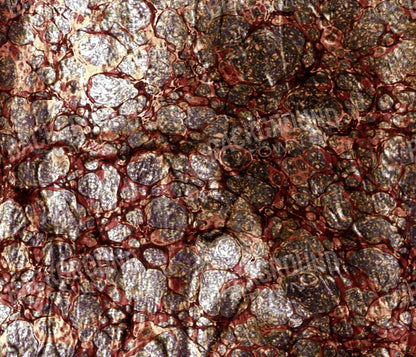 Recant 12X10 Ultracloth ( 144 X 120 Inch ) Backdrop