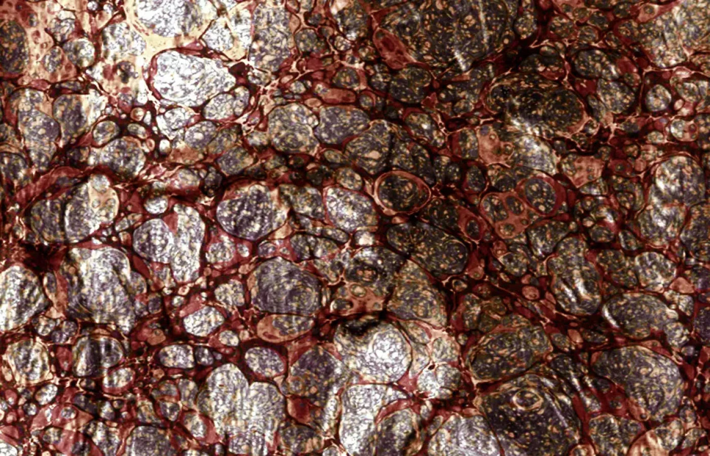 Recant 12X8 Ultracloth ( 144 X 96 Inch ) Backdrop