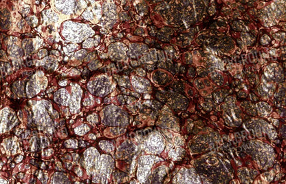 Recant 12X8 Ultracloth ( 144 X 96 Inch ) Backdrop