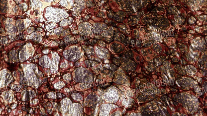 Recant 14X8 Ultracloth ( 168 X 96 Inch ) Backdrop