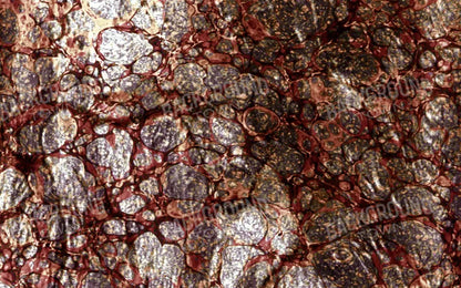 Recant 14X9 Ultracloth ( 168 X 108 Inch ) Backdrop